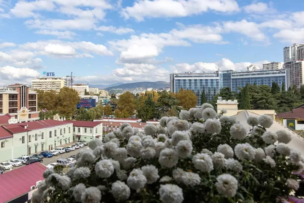 Студия Краснодарский край, Сочи Центральный мкр, ул. Несебрская, 6 ... - Фото 1