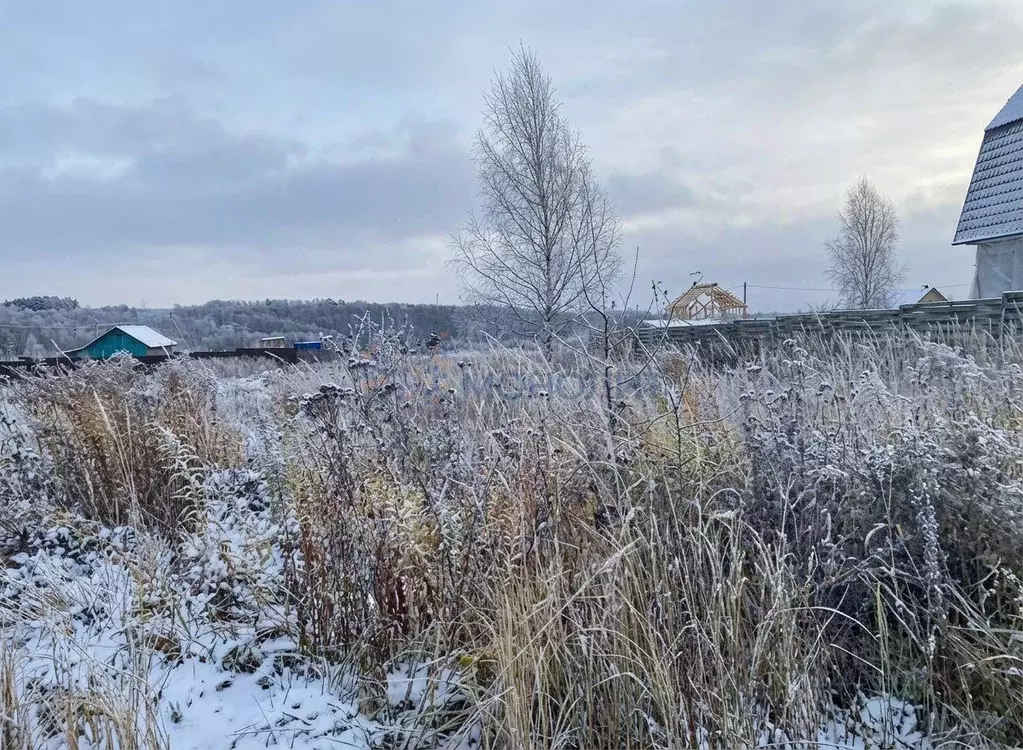 Участок в Нижегородская область, Богородский муниципальный округ, д. ... - Фото 2