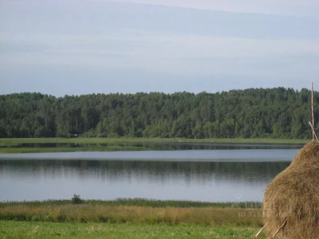 Участок в Вологодская область, Вытегорский район, Андомское с/пос  ... - Фото 1