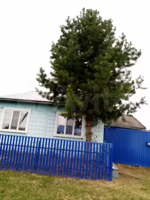 Дом 66,3 м на участке 20 сот. - Фото 1