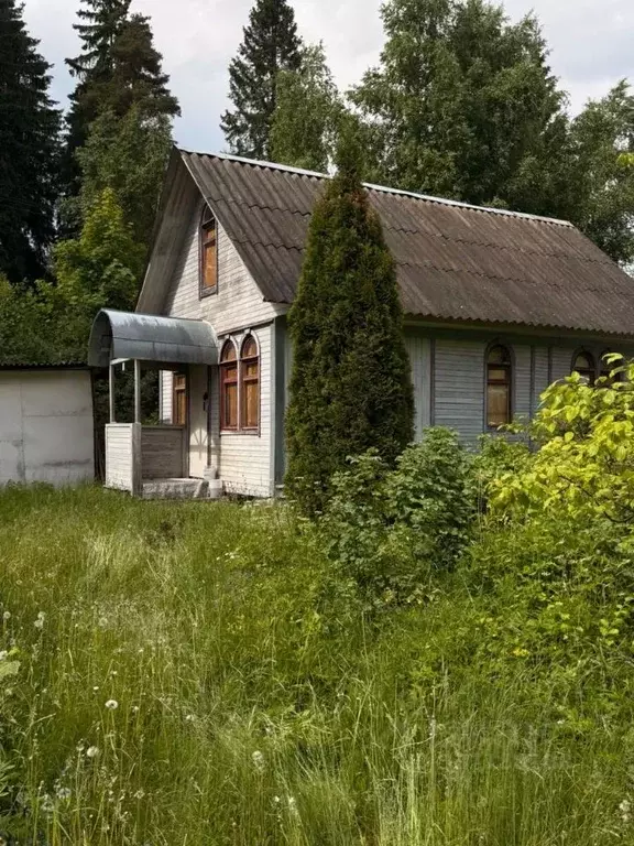 Участок в Ленинградская область, Выборгский район, Рощинское городское ... - Фото 1