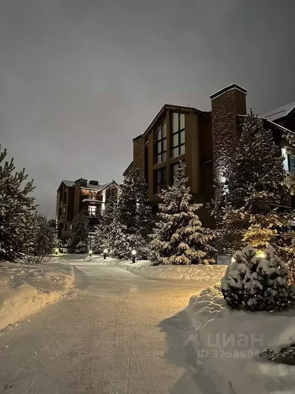 3-к кв. Московская область, Истра муниципальный округ, с. Павловская ... - Фото 2