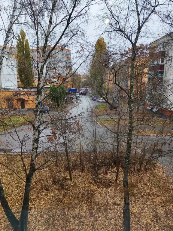 2-к кв. Курская область, Курск ул. Ухтомского, 1 (26.0 м) - Фото 1