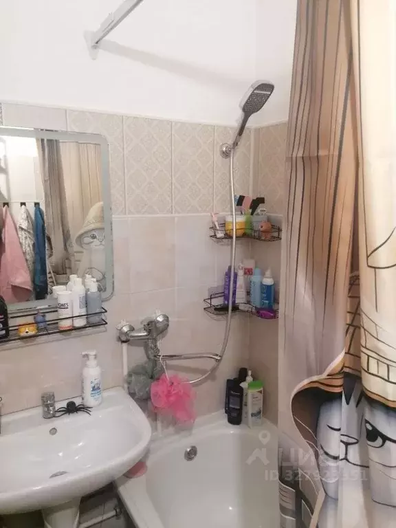 2-к кв. Омская область, Омский район муниципальный округ, с. Троицкое, ... - Фото 2