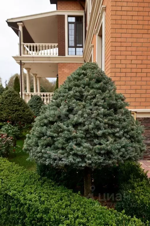 Дом в Брянская область, Брянск Луговая ул. (460 м) - Фото 1