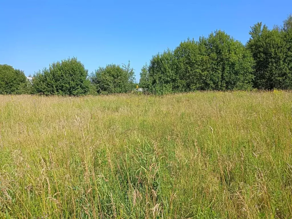 Участок в Московская область, Орехово-Зуевский городской округ, д. ... - Фото 0