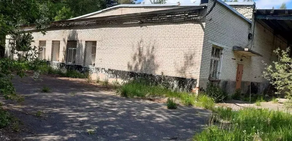 Производственное помещение в Ленинградская область, Луга Ленинградское ... - Фото 1