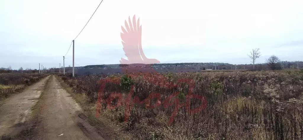 Участок в Орловская область, Орловский муниципальный округ, д. ... - Фото 2