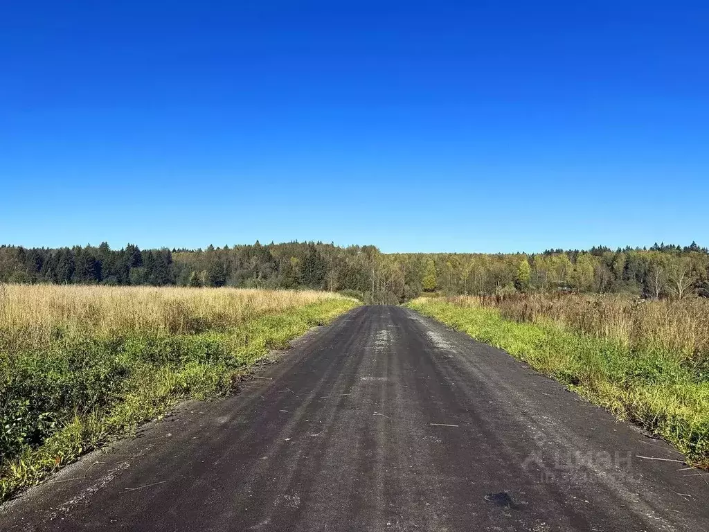 Участок в Московская область, Дмитровский муниципальный округ, ... - Фото 2
