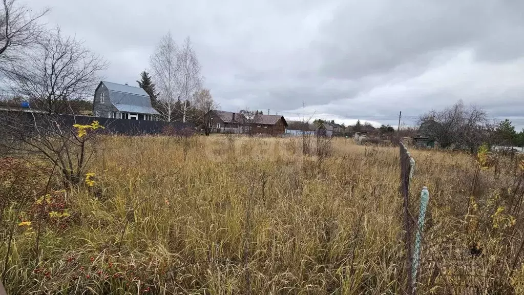 Участок в Воронежская область, Рамонский район, Новоживотинновское ... - Фото 2