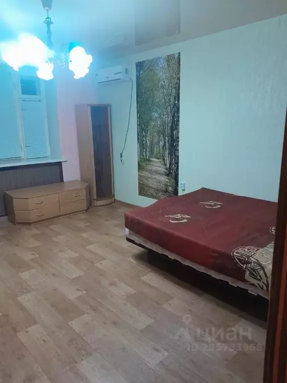 1-к кв. Нижегородская область, Саров ул. Семашко, 8 (36.0 м) - Фото 0