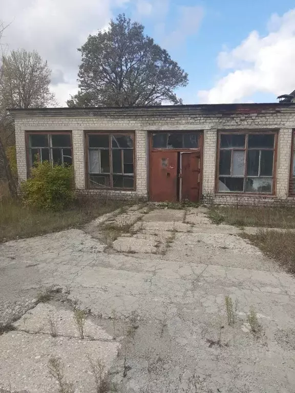 Помещение свободного назначения в Ульяновская область, Тереньгульский ... - Фото 2