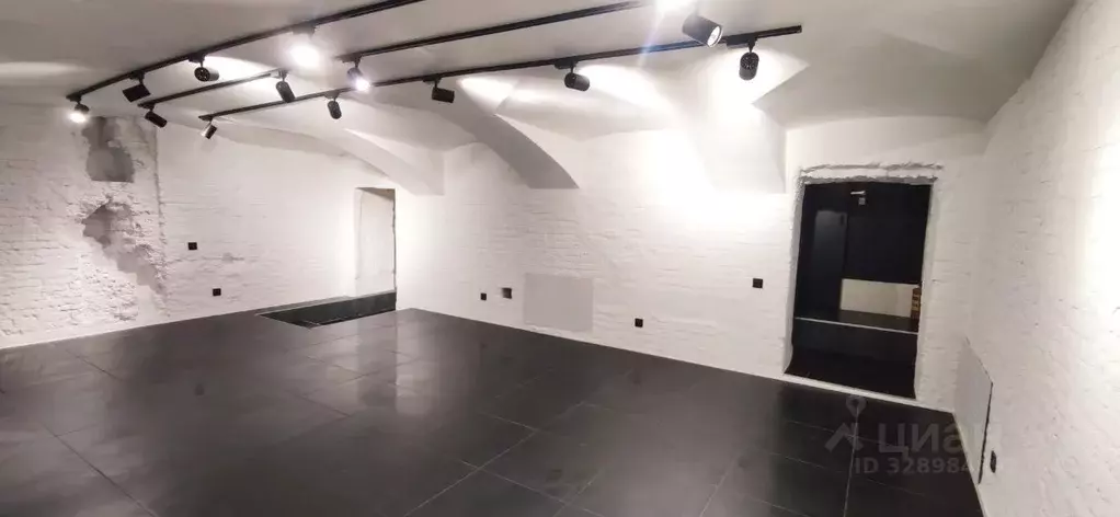 Помещение свободного назначения в Санкт-Петербург пер. Климов, 7 (62 ... - Фото 2