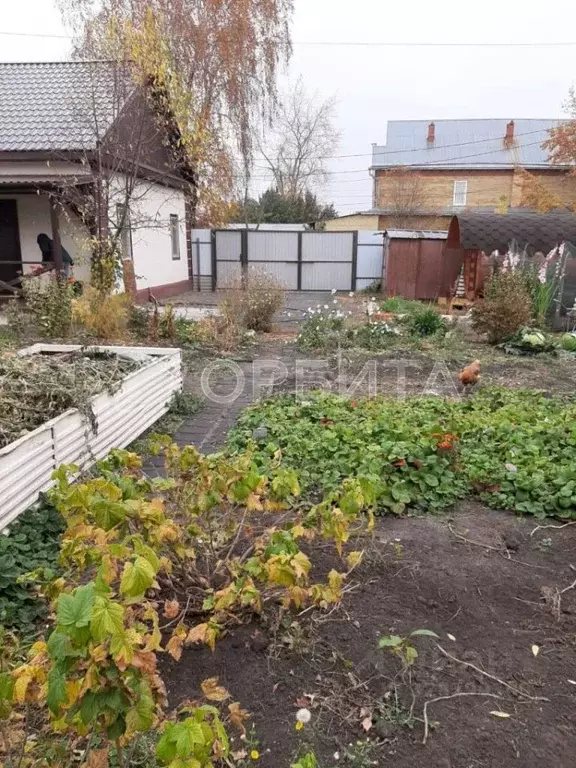 Дом в Тюменская область, Тюмень Локомотивная ул. (64 м) - Фото 2