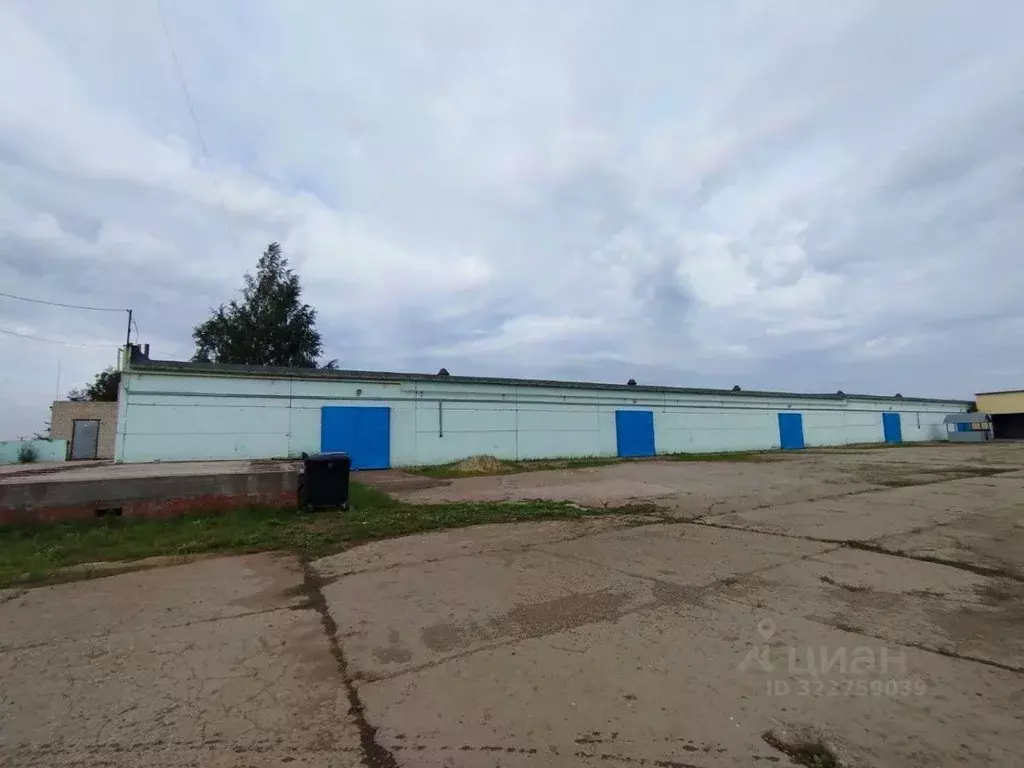 Производственное помещение в Татарстан, Елабуга Окружное ш., 5 (1600 ... - Фото 2