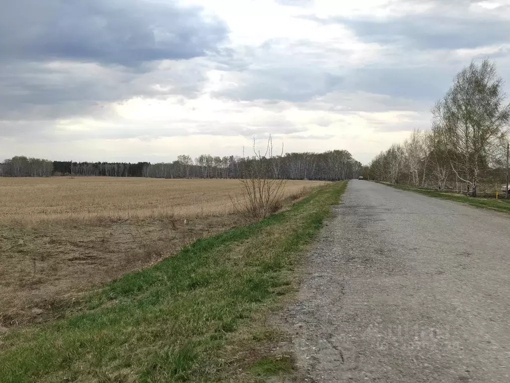 Участок в Омская область, Любинский район, пос. Политотдел ул. Ленина ... - Фото 2