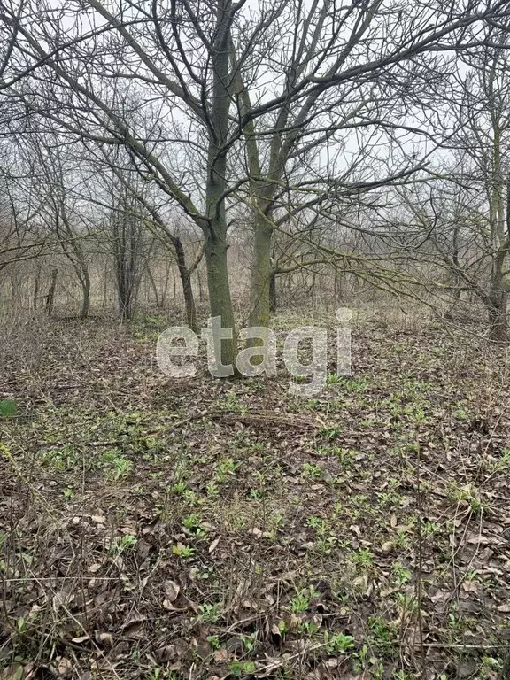 Участок в Белгородская область, Белгород Зеленая Горка садоводческое ... - Фото 0