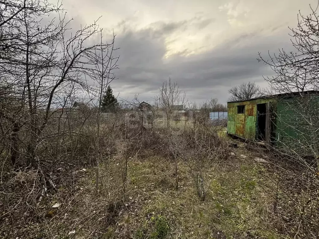 Участок в Воронежская область, Воронеж СНТ Русское Поле ТСН, 891 (6.6 ... - Фото 1