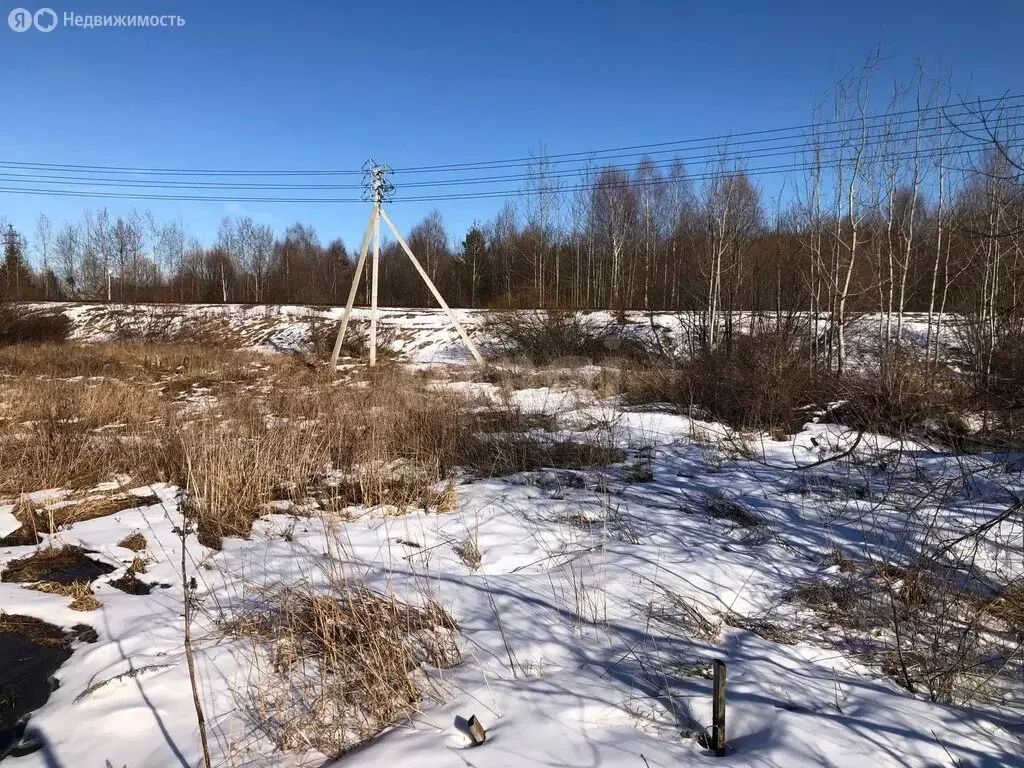 Участок в Сыктывкар, проезд Чехова (7.48 м) - Фото 1