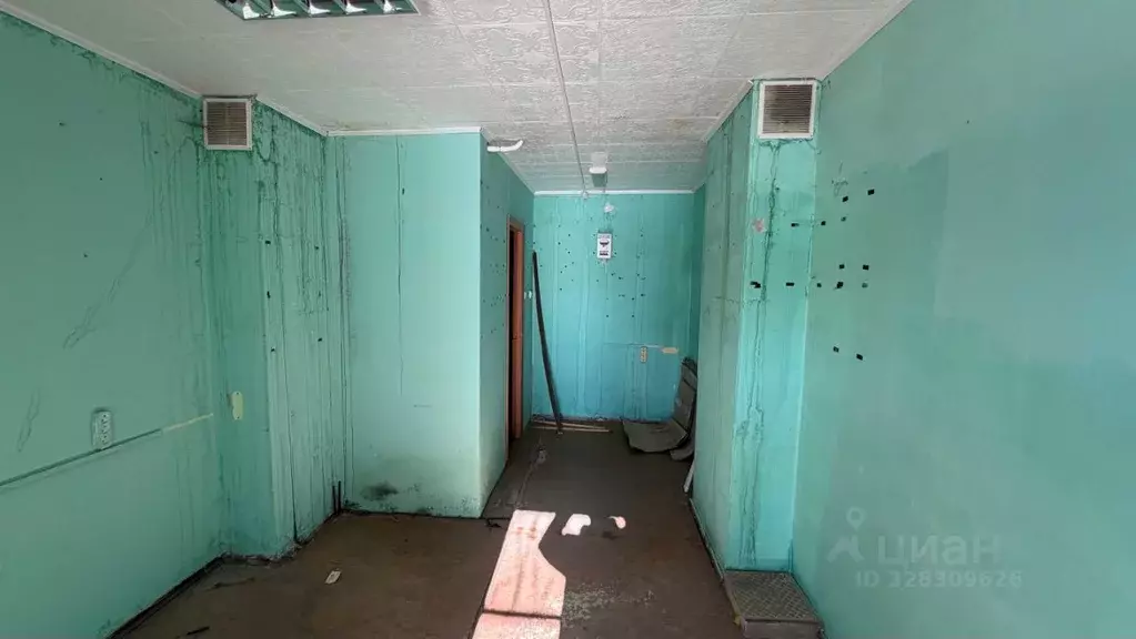 Помещение свободного назначения в Еврейская автономная область, ... - Фото 2