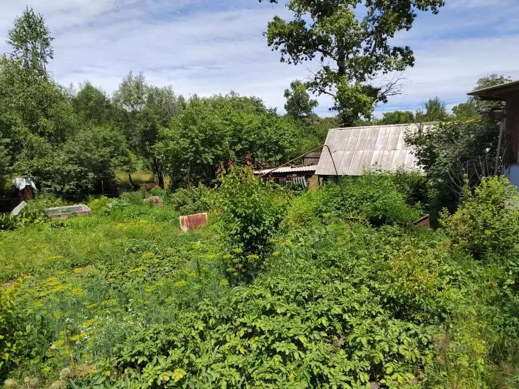 Дом в Хабаровский край, Хабаровск ул. Осиповка, 34А (41 м) - Фото 1