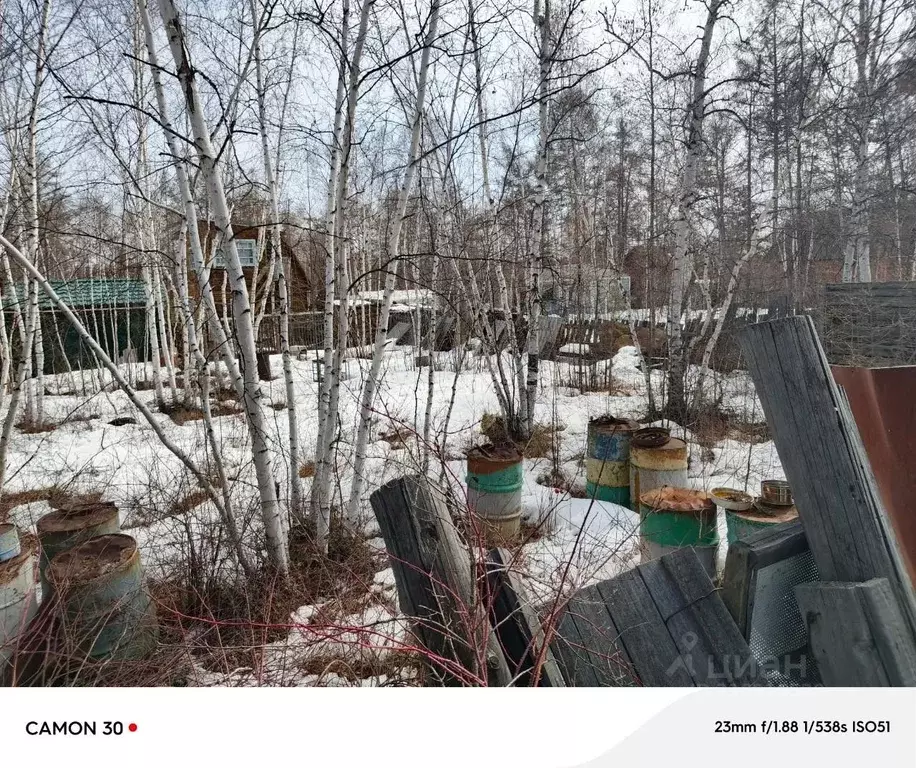 Участок в Саха (Якутия), Якутск городской округ, с. Маган  (6.2 сот.) - Фото 1