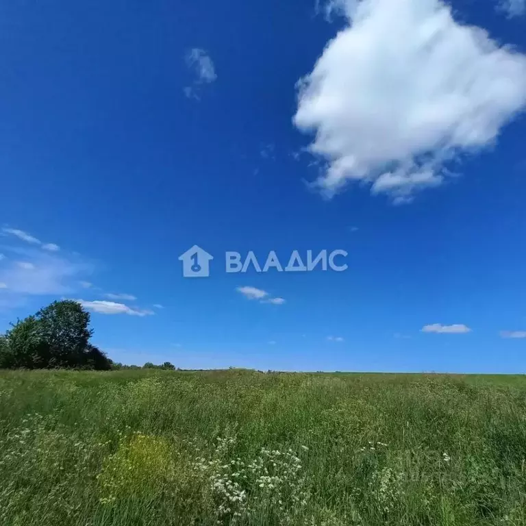 Участок в Владимирская область, Суздальский район, Павловское ... - Фото 0