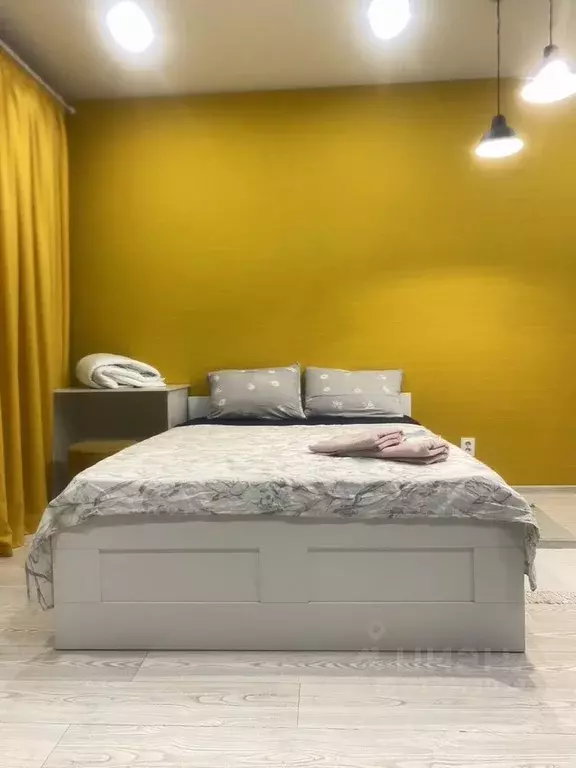 1-к кв. Татарстан, Казань ул. Николая Ершова, 65Б/2 (32.0 м) - Фото 2