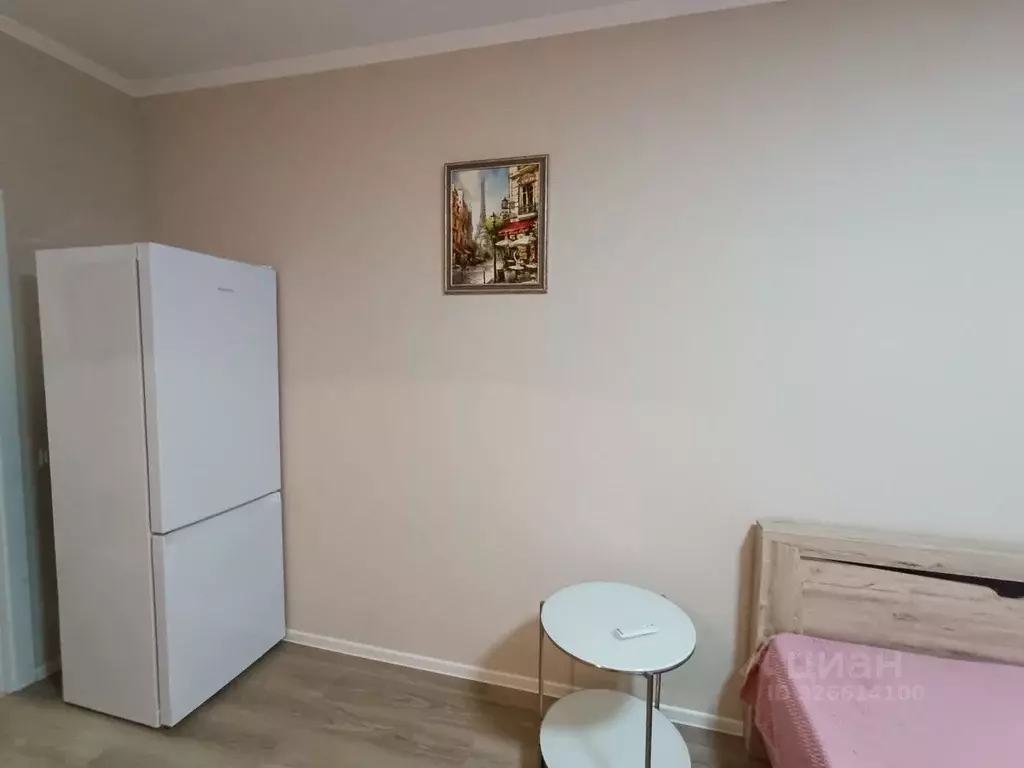 Студия Санкт-Петербург пос. Шушары, ул. Нины Петровой, 7к1 (22.8 м) - Фото 1