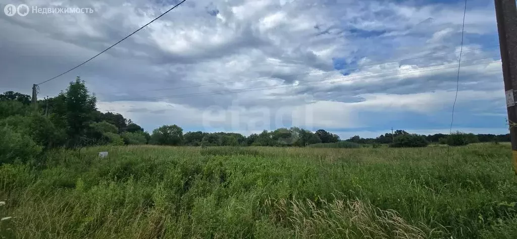 Участок в Калининградская область, Багратионовский муниципальный ... - Фото 1