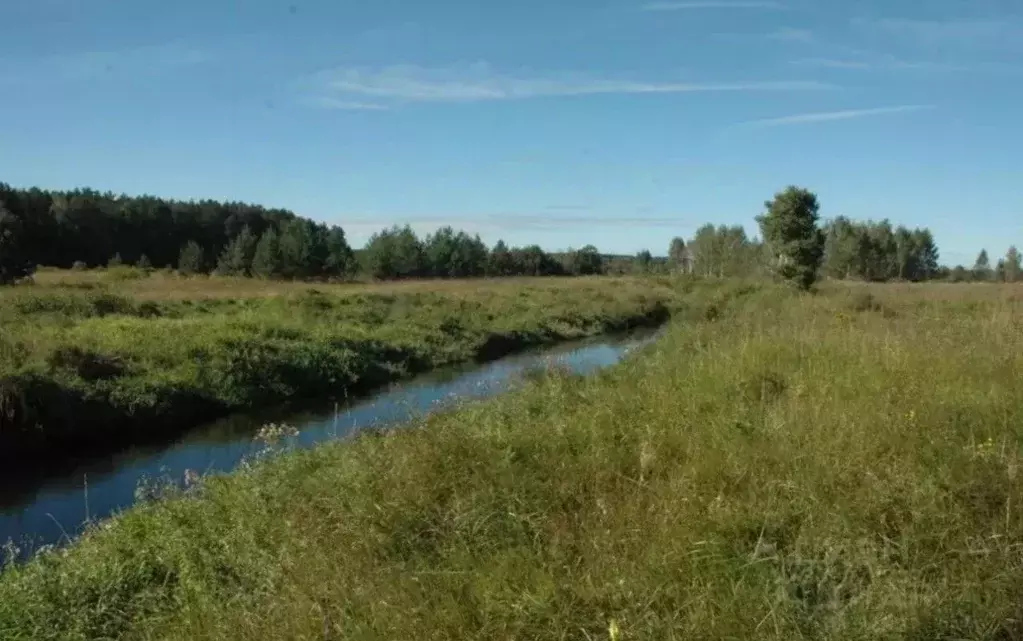 Участок в Московская область, Клин городской округ, д. Кореньки  ... - Фото 1