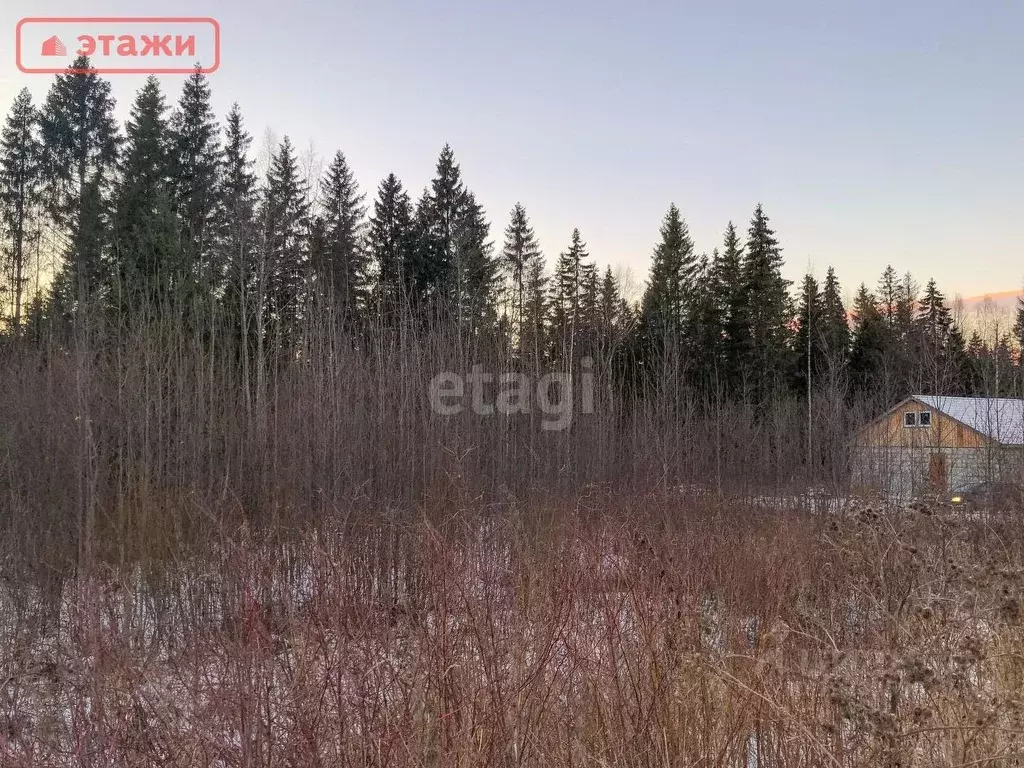 Купить Участок Земли В Петрозаводске