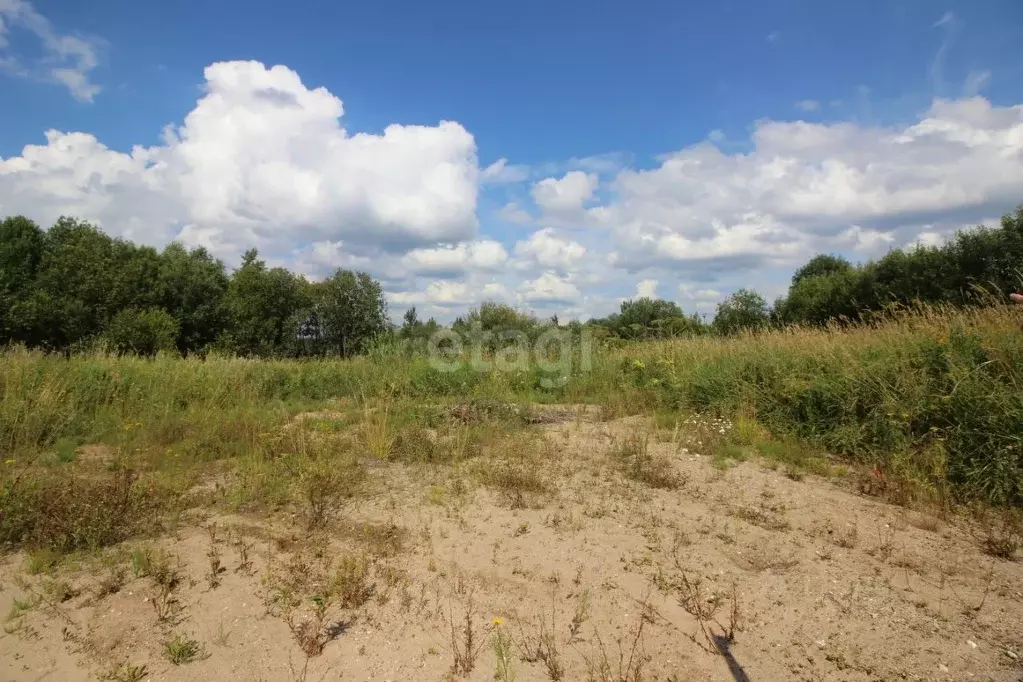 Участок в Вологодская область, Череповецкий район, д. Ирдоматка  ... - Фото 1