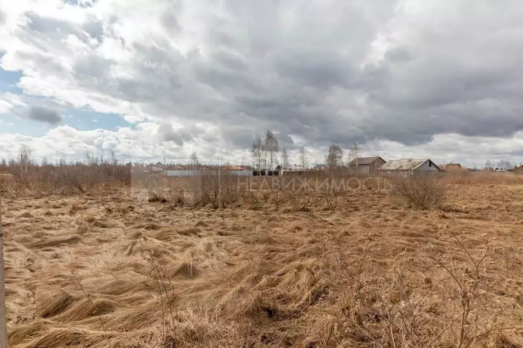 Участок в Тюменская область, Тюмень Царево садовое товарищество, ул. ... - Фото 0