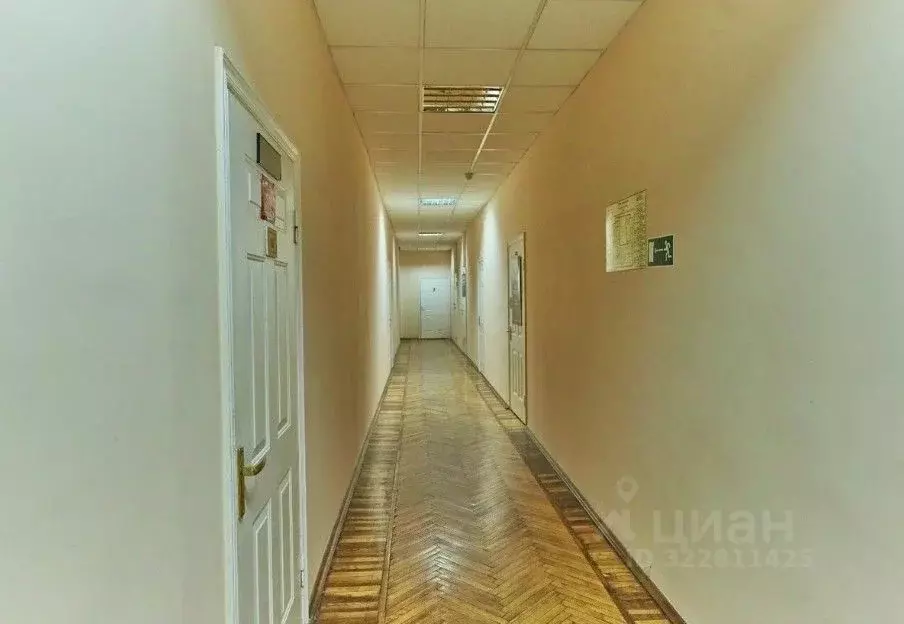 Офис в Санкт-Петербург ул. Жуковского, 3 (217 м) - Фото 2