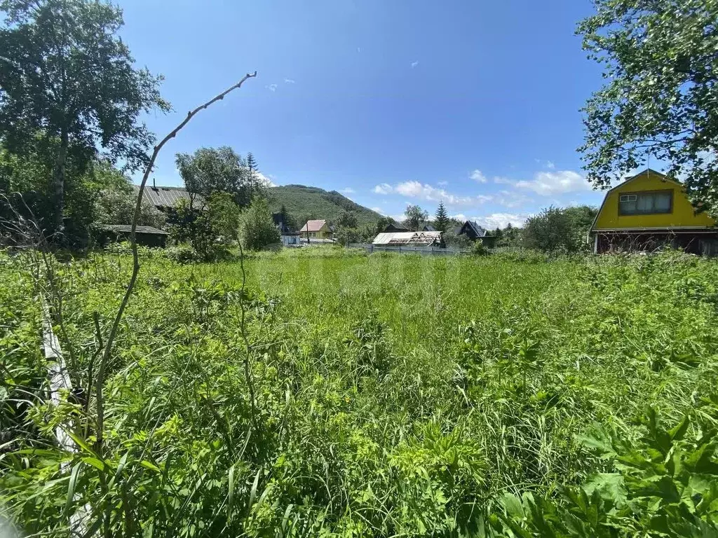 Участок в Камчатский край, Елизовский муниципальный округ, Рыбак СНТ  ... - Фото 2