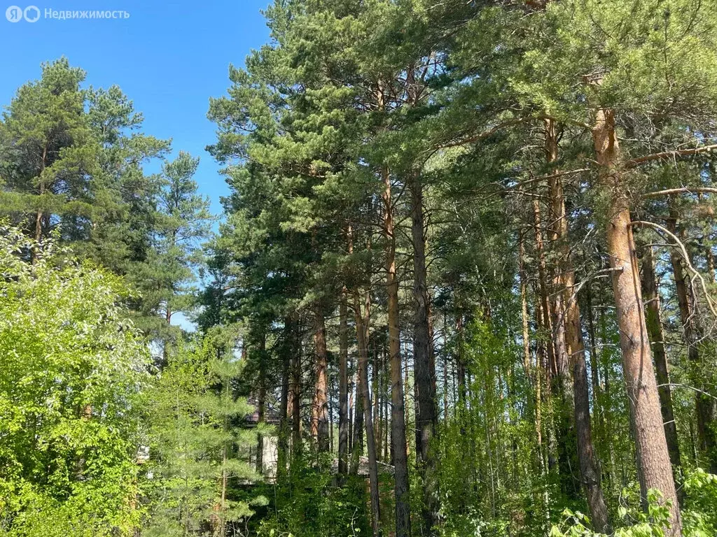 Участок в Иркутский муниципальный округ, деревня Новолисиха, Лесная ... - Фото 1