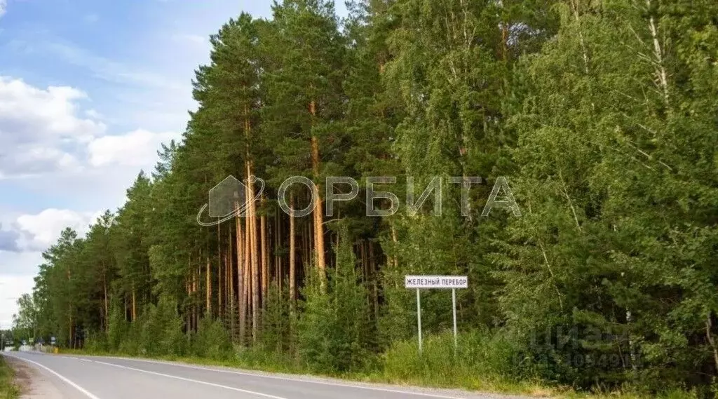 Участок в Тюменская область, Тюменский муниципальный округ, д. ... - Фото 2