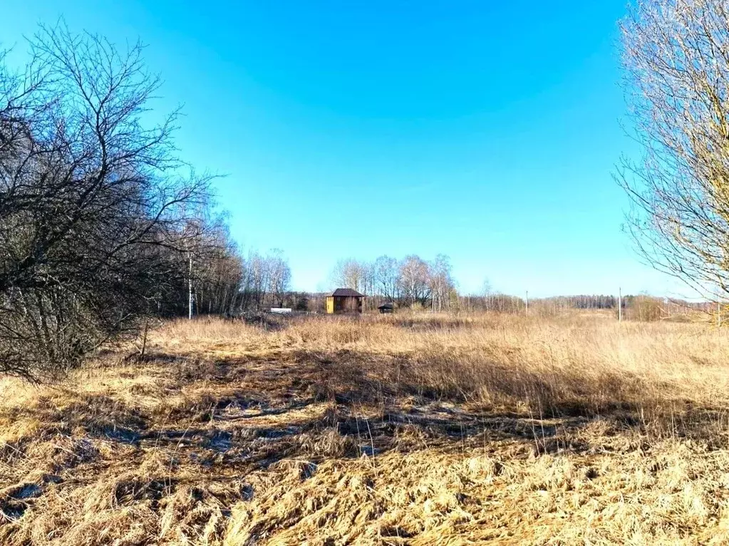 Участок в Владимирская область, Петушинский район, Нагорное ... - Фото 2