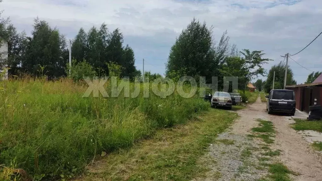 Участок в Новосибирская область, Новосибирск Сибиряк-2 СТ,  (7.62 ... - Фото 1