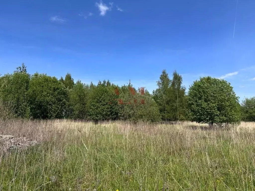 Участок в Владимирская область, Суздальский район, с. Павловское ул. ... - Фото 2