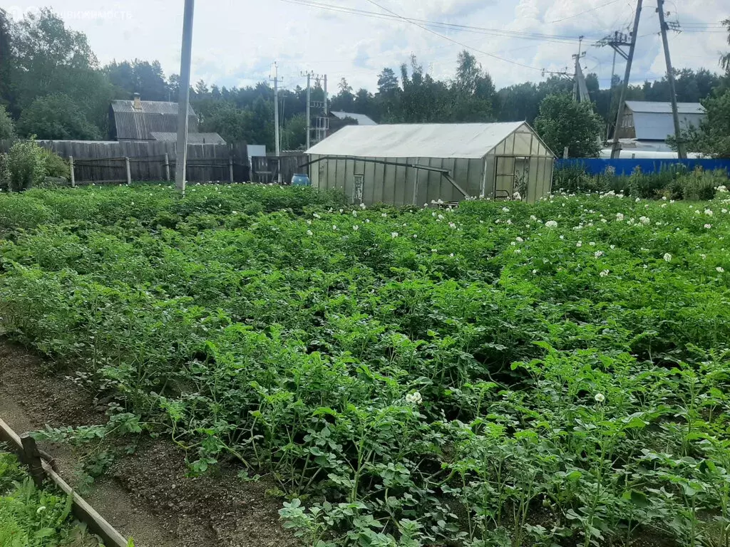 Дом в Екатеринбург, коллективный сад Серебряный Родник (15 м) - Фото 1