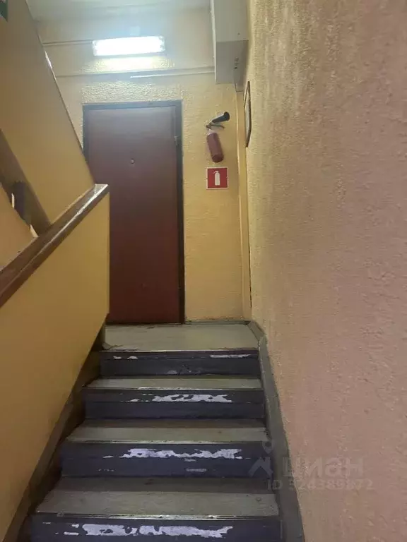 Офис в Москва 2-й Силикатный проезд, 14 (62 м) - Фото 2