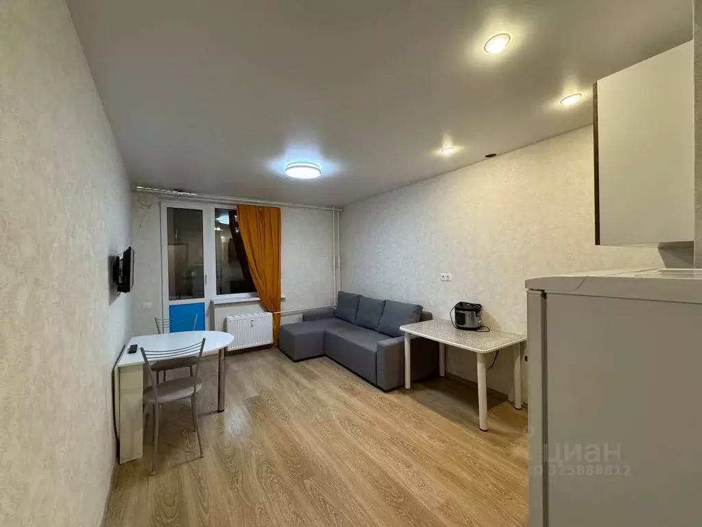 Студия Ленинградская область, Мурино Всеволожский район, просп. ... - Фото 1