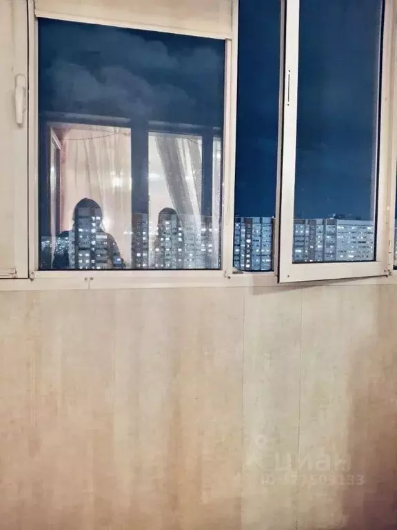 1-к кв. Нижегородская область, Нижний Новгород Мещерское Озеро ... - Фото 1