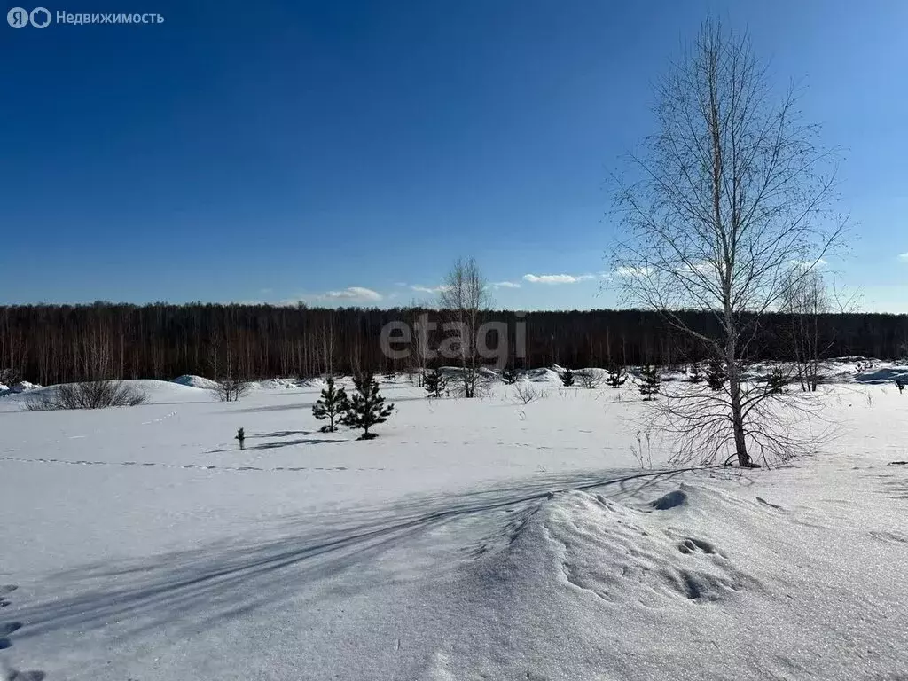 Участок в Сосновский район, село Кременкуль (5.5 м) - Фото 0