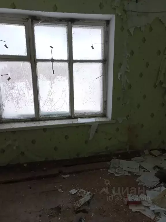 Помещение свободного назначения в Алтайский край, Зональный район, с. ... - Фото 1