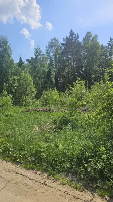 Участок в Московская область, Орехово-Зуевский городской округ, д. ... - Фото 1
