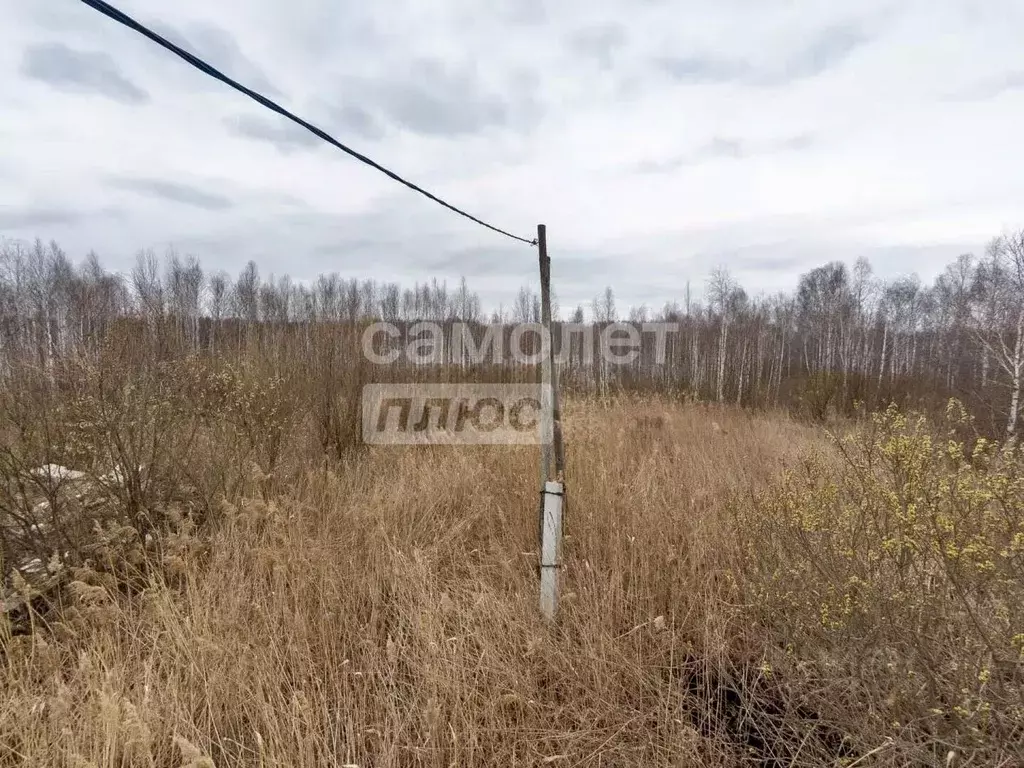 Участок в Тюменская область, Нижнетавдинский муниципальный округ, ... - Фото 2