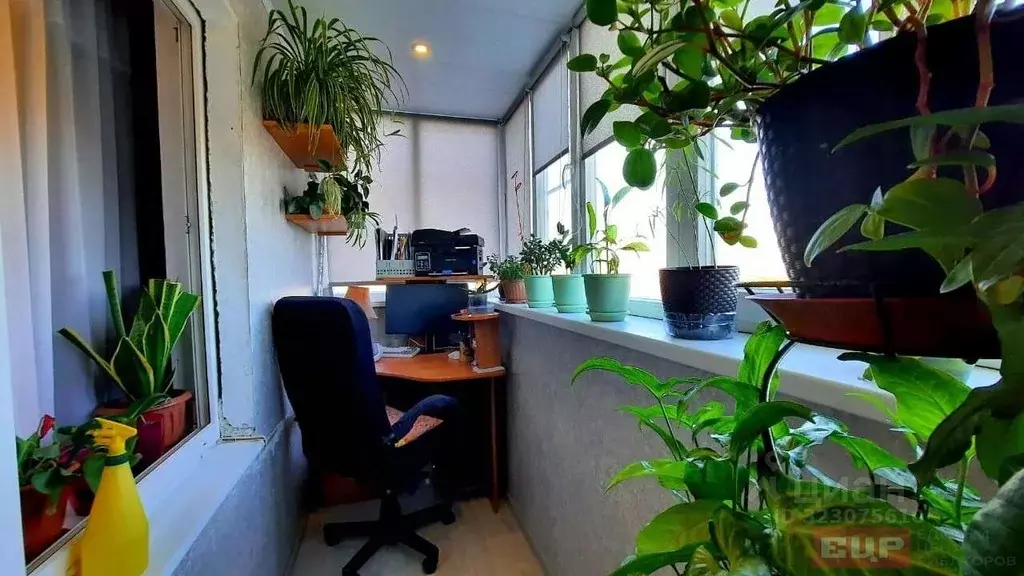 3-к кв. Краснодарский край, Новороссийск Анапское ш., 41Нк2 (80.1 м) - Фото 2